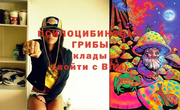 стаф Магадан