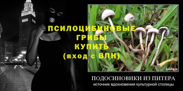 стаф Магадан