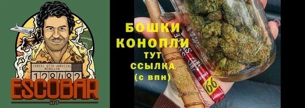 стаф Магадан