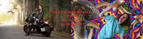 стаф Магадан