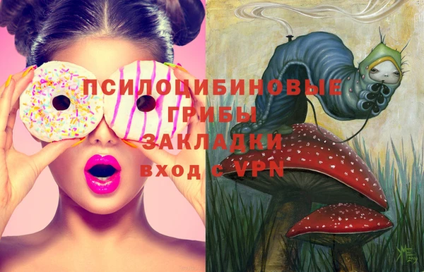 стаф Магадан