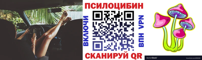 Псилоцибиновые грибы Psilocybine cubensis  Купить закладки  Талдом 