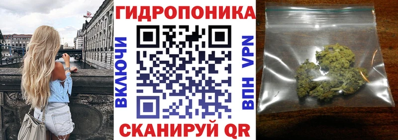 Бошки марихуана Bruce Banner  Купить закладки  Талдом 